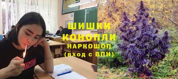 бошки Алексин