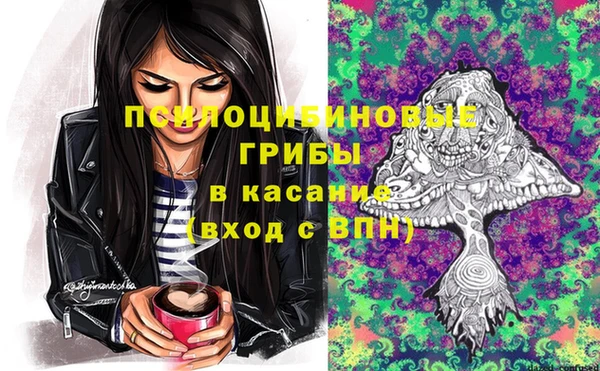 бошки Алексин