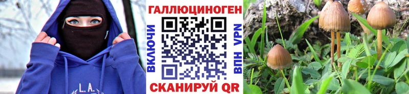 Галлюциногенные грибы Magic Shrooms Катав-Ивановск